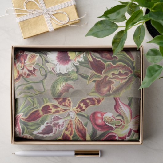 Orchideen Denusblumen von Ernst Haeckel Seidenpapier (Geschenk)