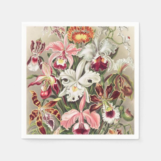 Orchideen Denusblumen von Ernst Haeckel Serviette (Vorderseite)