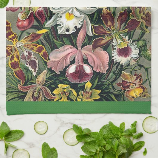 Orchideen durch Ernst Haeckel Handtuch (Gefaltet)