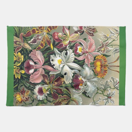 Orchideen durch Ernst Haeckel Handtuch (Horizontal)