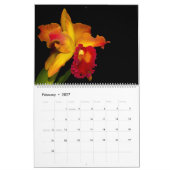Orchideen durch Orchidelique Kalender (Feb 2027)