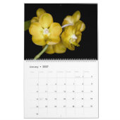 Orchideen durch Orchidelique Kalender (Jan 2027)
