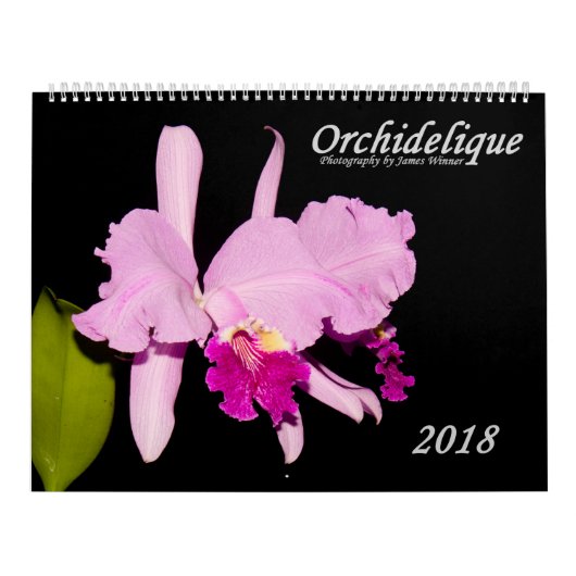 Orchideen durch Orchidelique Kalender (Titelbild)