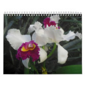Orchideen durch Scott S. Jones Kalender (Titelbild)