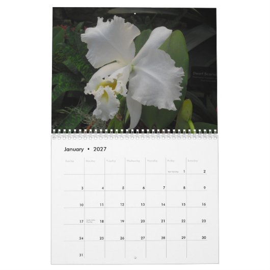 Orchideen durch Scott S. Jones Kalender (Jan 2027)