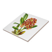 Orchideen Fliese (Seite)