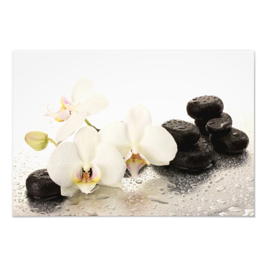 Orchideen-Foto-Druck Fotodruck (Vorne)