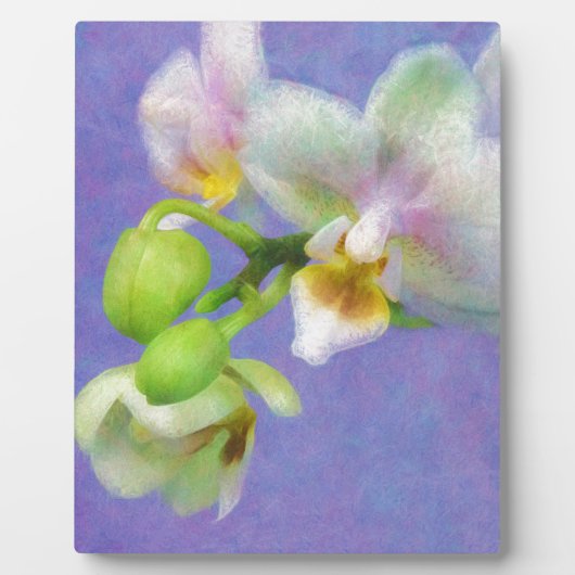 Orchideen Fotoplatte (Vorderseite)