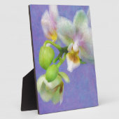 Orchideen Fotoplatte (Seite)