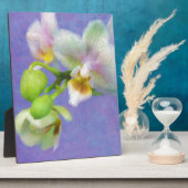 Orchideen Fotoplatte (Seite)