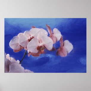 Orchideen-Frühling Poster
