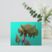 Orchideen: Gelb und Weiß Postkarte (Stehend Vorderseite)