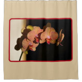 Orchideen Gelbe Koralle Pink Fotograf Floral Tan Duschvorhang (Vorderseite)