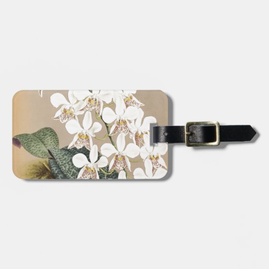 Orchideen Gepäckanhänger (Vorderseite horizontal)