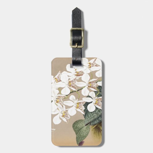 Orchideen Gepäckanhänger (Vorderseite vertikal)
