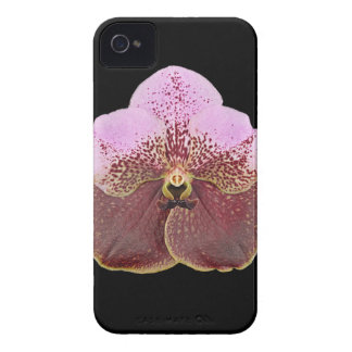 Orchideen-Handy-Fall, iPhone 4 Cover