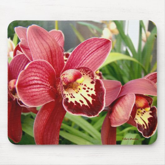 Orchideen-Herausragende Mousepad (Vorne)