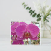 Orchideen Hot Pink Postkarte (Stehend Vorderseite)