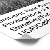 Orchideen in der Nähe des Heiratsverbots durch Ans Poster (Ecke)