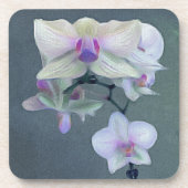 Orchideen in Form von Lila Untersetzer (Vorderseite)