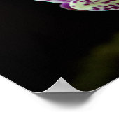Orchideen in Lila Poster (Ecke)