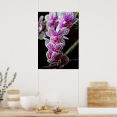 Orchideen in Lila Poster (Küche)