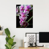 Orchideen in Lila Poster (Heimbüro)