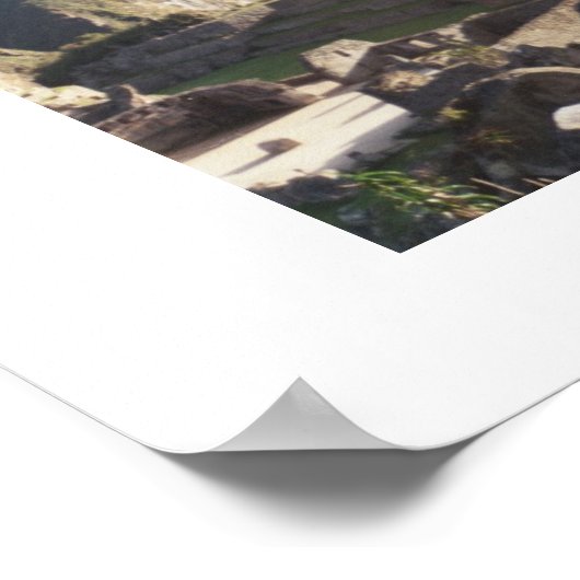 Orchideen in Machu Picchu Poster (Ecke)