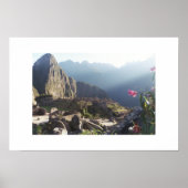 Orchideen in Machu Picchu Poster (Vorne)