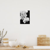 Orchideen in Schwarz-Weiß-Poster, 24x33,6 Poster (Küche)