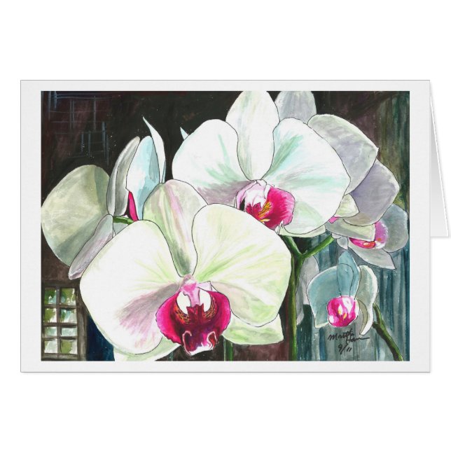 Orchideen in voller Blüte (Vorderseite (Horizontal))