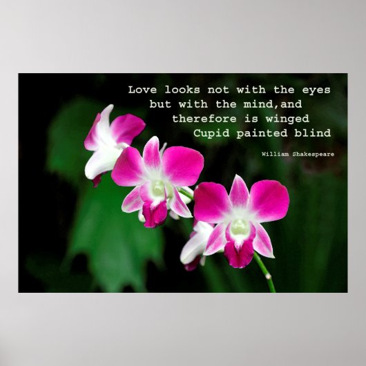 Orchideen in Wasserfarbe Poster (Vorne)