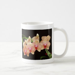 Orchideen! Kaffeetasse