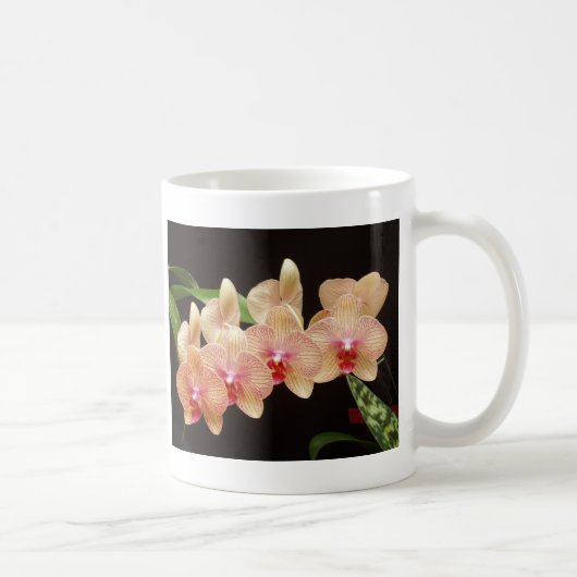 Orchideen! Kaffeetasse (Rechts)