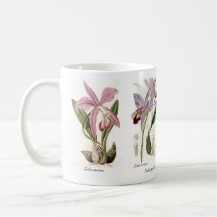 Orchideen Kaffeetasse