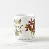 Orchideen Kaffeetasse (Mittel)