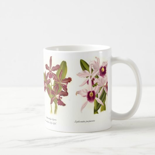 Orchideen Kaffeetasse (Rechts)
