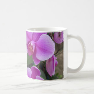 Orchideen Kaffeetasse