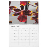 Orchideen Kalender (Feb 2026)