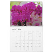 Orchideen Kalender (Jan 2026)