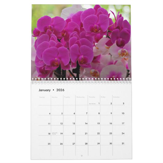 Orchideen Kalender (Jan 2026)