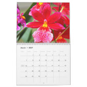 Orchideen Kalender (Mär 2027)