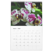 Orchideen Kalender (Mär 2027)