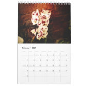 Orchideen Kalender (Feb 2027)