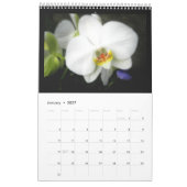 Orchideen Kalender (Jan 2027)