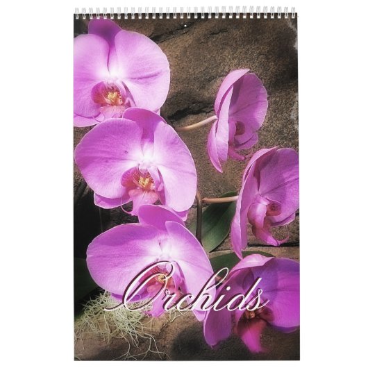 Orchideen Kalender (Titelbild)