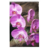 Orchideen Kalender (Titelbild)