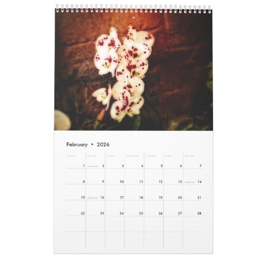 Orchideen Kalender (Feb 2026)