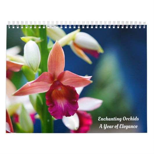 Orchideen Kalender (Titelbild)
