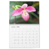 Orchideen Kalender (Jan 2026)